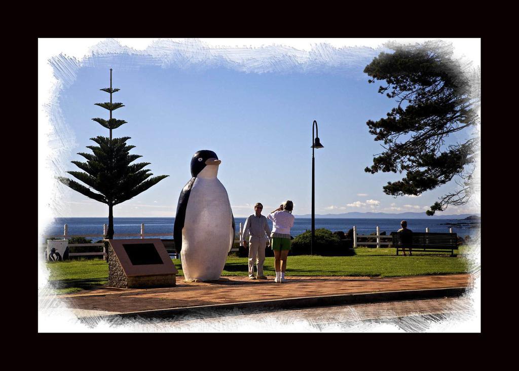 Penguin Beachfront Apartments Екстериор снимка
